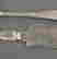 item-107602931=2
