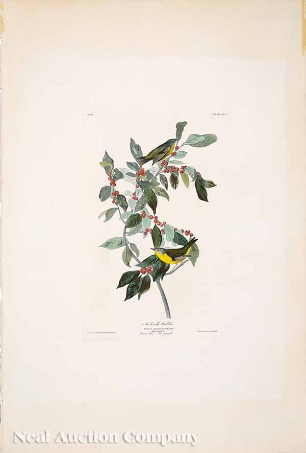 After John James Audubon (American, 1785-1851): After John James Audubon (American, 1785-1851), "Nashville Warbler", No. 18, Plate LXXXIX, from Birds of America, hand-colored engraving, Havell edition, the elephant folio paper watermarked "J.Whatma