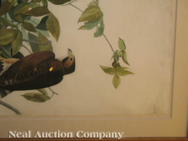 John James Audubon (American, 1785-1851) - 3