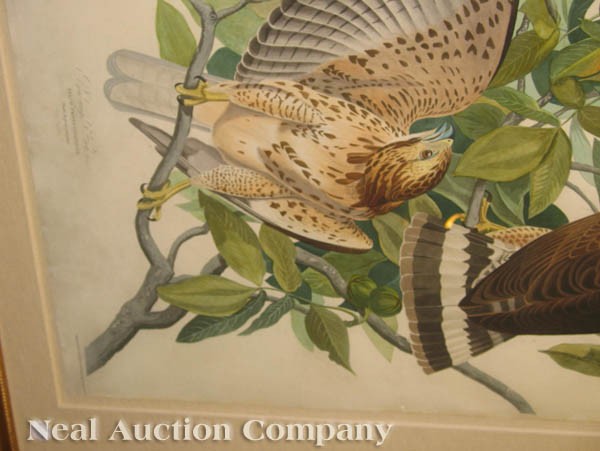 John James Audubon (American, 1785-1851) - 5