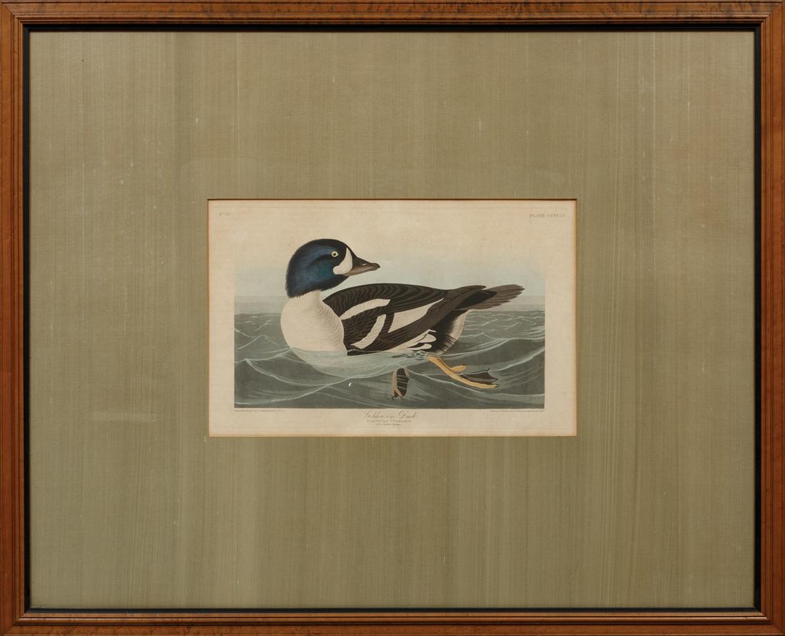 John James Audubon (American, 1785-1851) (1 of 5)