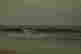 item-120147845=3