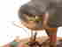 item-121352257=3