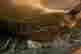 item-121352275=4