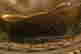 item-121352275=5