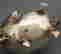 item-121352361=3