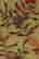 item-121352615=2