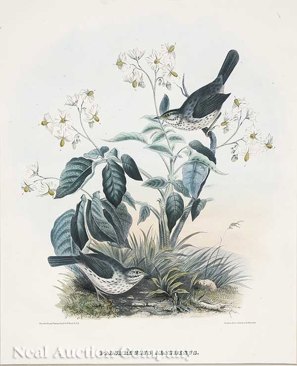 Daniel Giraud Elliot (American, 1835-1915): Daniel Giraud Elliot (American, 1835-1915), "Zonotrichia Belli" and "Passerculus Alaudinus", 19th c., two hand-colored lithographs, by Bowen & Co., Philadelphia, sight 17 3/4 in. x 14 1/2 in., attract