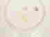 item-127611411=4