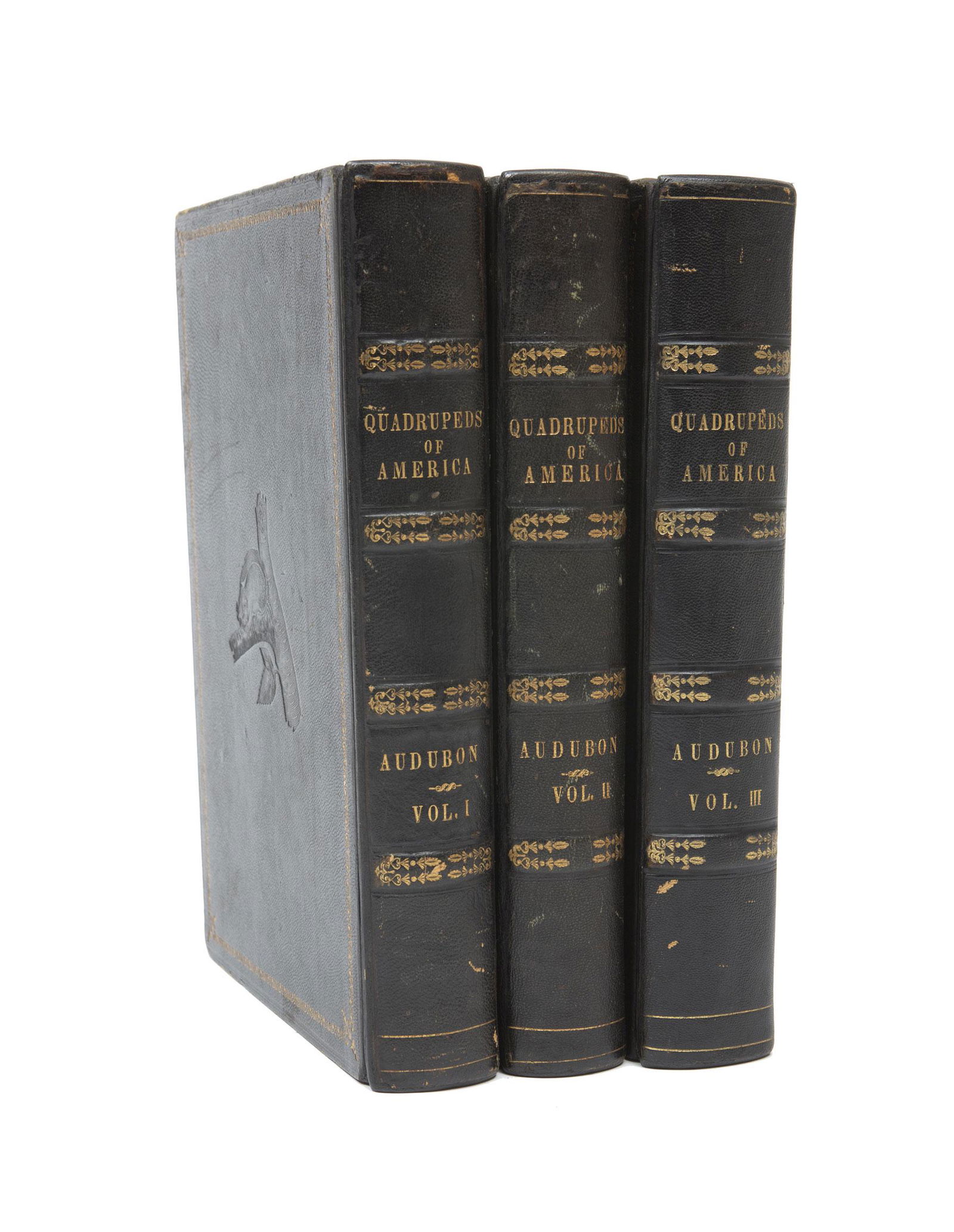 John James Audubon (American, 1785-1851) (1 of 11)