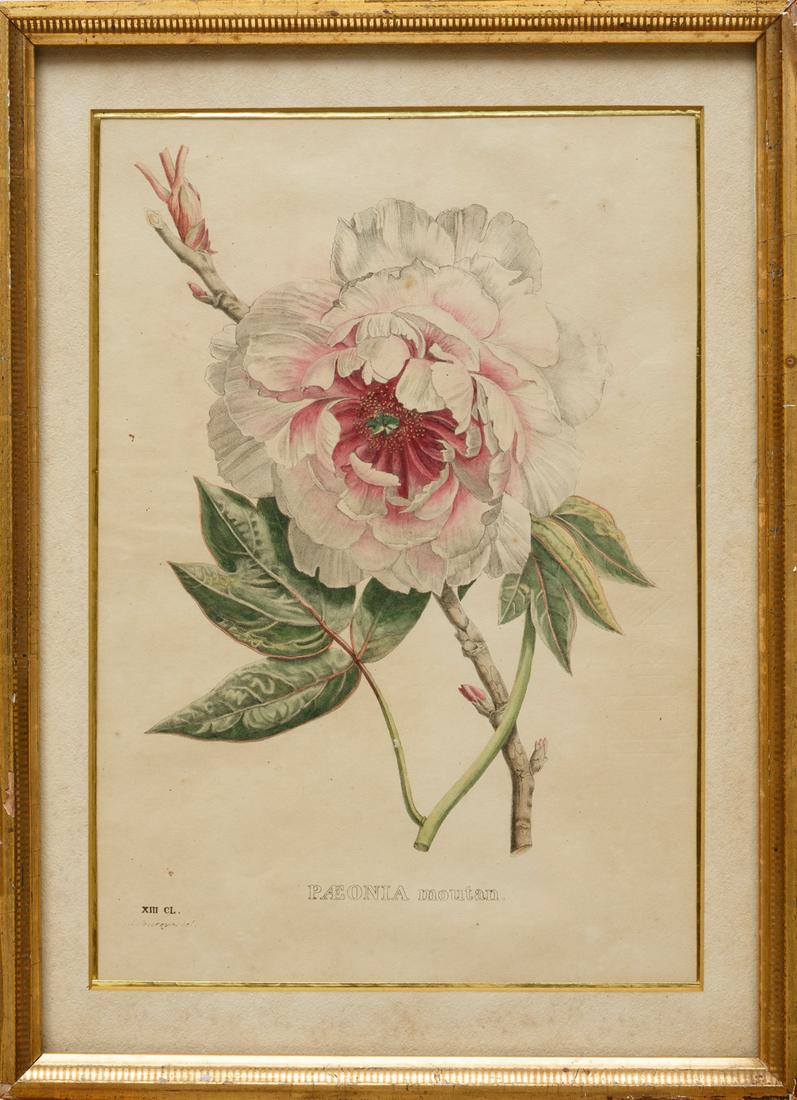 After George Severeyns (Belgian, 19th c.) (1 of 1)