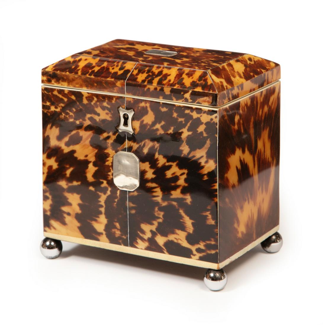 George III Tortoiseshell Tea Caddy (1 of 4)