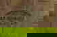 item-1120594=2