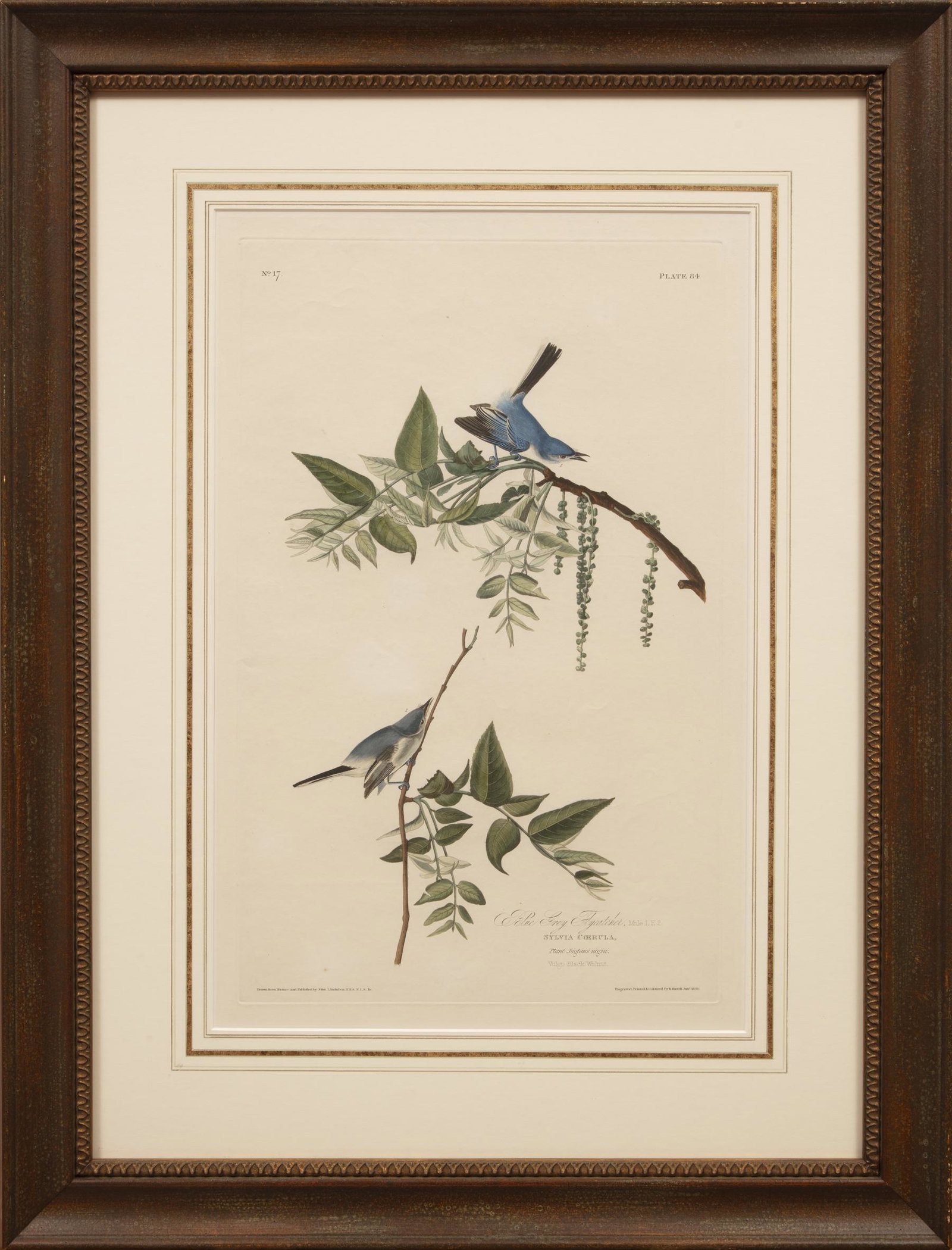 John James Audubon (American, 1785-1851) (1 of 3)