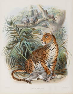 After Joseph Wolf (Prussian/British, 1820-1899): After Joseph Wolf (Prussian/British, 1820-1899) , "Felis Pardus", 1883, hand-colored lithograph, from A Monograph of the Felidae or Family of the Cats, printed by M. & H. Hanhart, London, published by