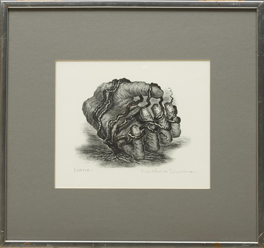 Caroline Wogan Durieux (American/Louisiana, 1896) (1 of 4)