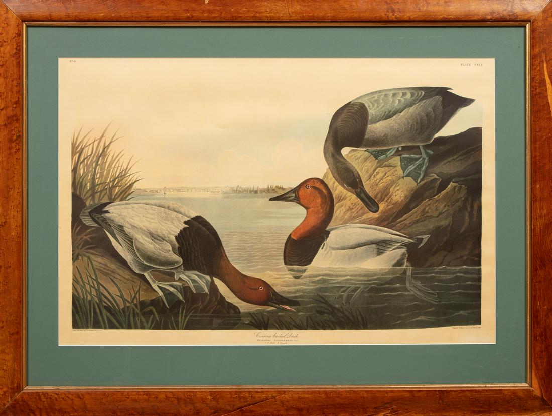 After John James Audubon (American, 1785-1851) (1 of 3)