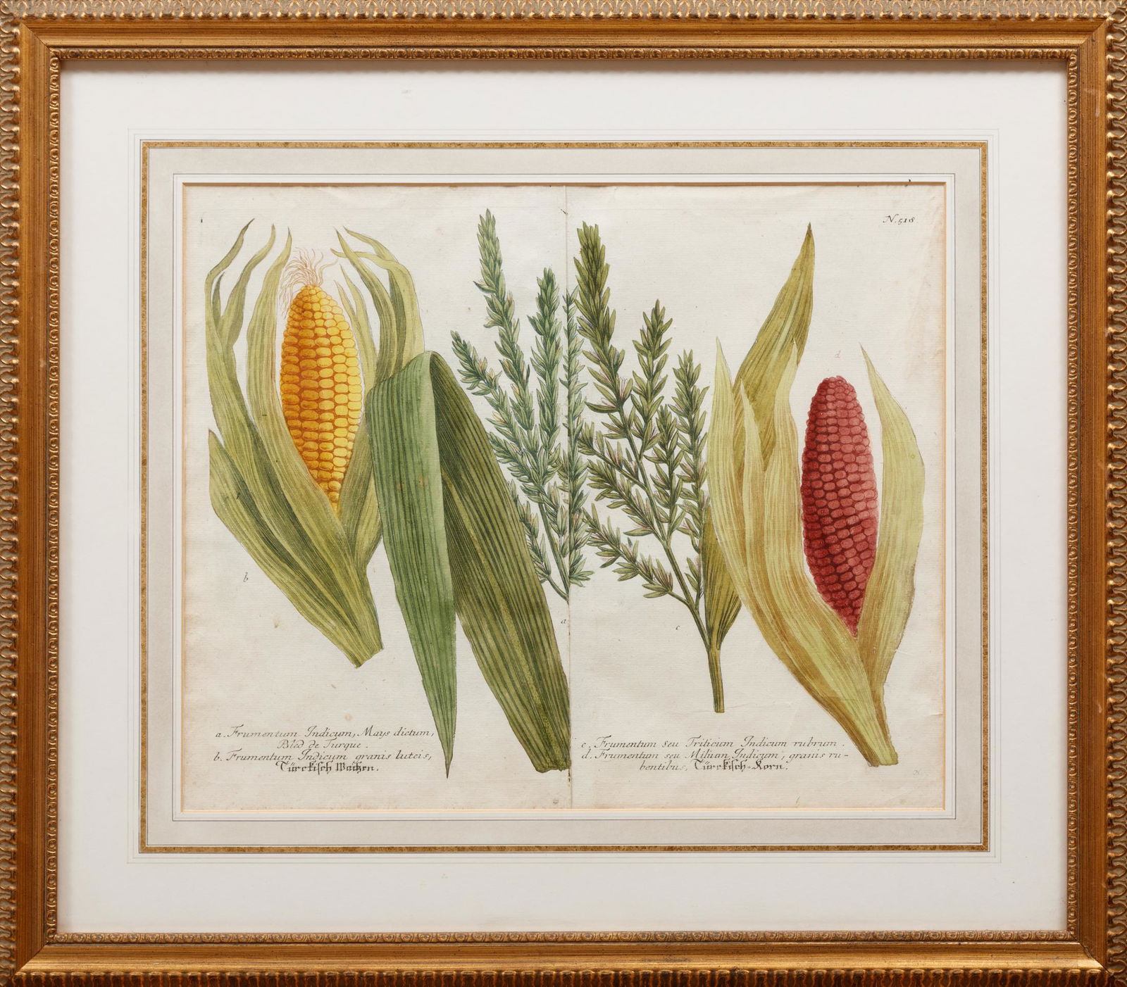 After Georg Dionysius Ehret (German, 1708-1770) (1 of 3)