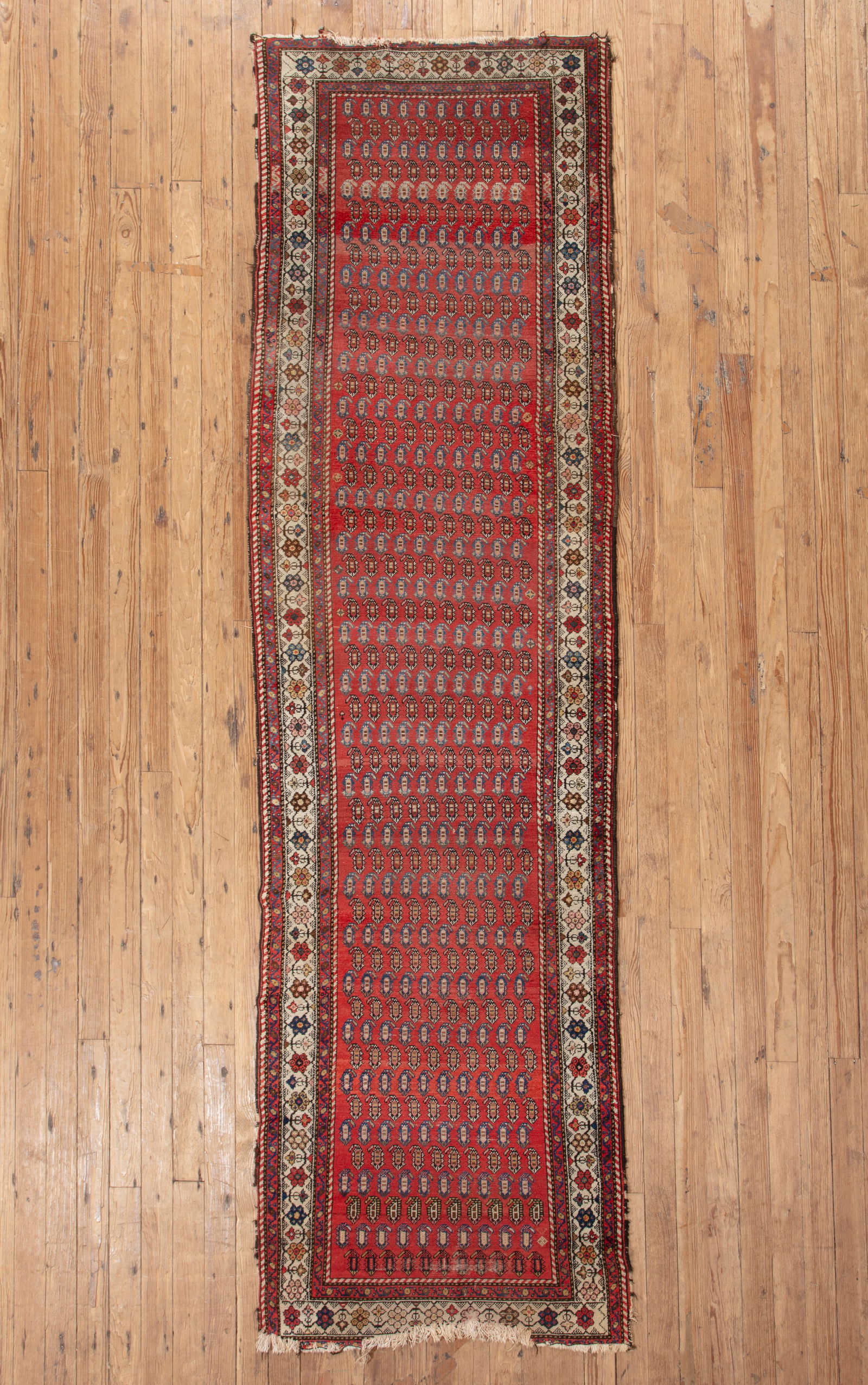 Northwest Persian Runner (1 of 8)