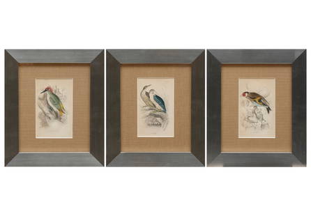 William Home Lizars (Scottish, 1788-1859): William Home Lizars (Scottish, 1788-1859), "Goldfinch", "Greenwood Pecker" and "Night Heron", 3 hand-colored etchings, after James Stewart (Scottish, 1791-1863) from Illustration of British Ornitholog