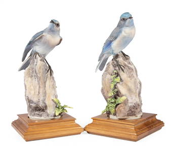 Pair of Royal Worcester Dorothy Doughty Porcelain: Pair of Royal Worcester Dorothy Doughty Porcelain "Mountain Bluebirds" with Spleenwort Niger, 1964, marked, h. 9 3/4 in. and 9 1/4 in. Provenance: Estate of Stephen G. Henry, Jr., Baton Rouge, LA