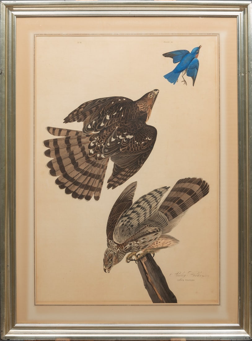 John James Audubon (American, 1785-1851) (1 of 4)