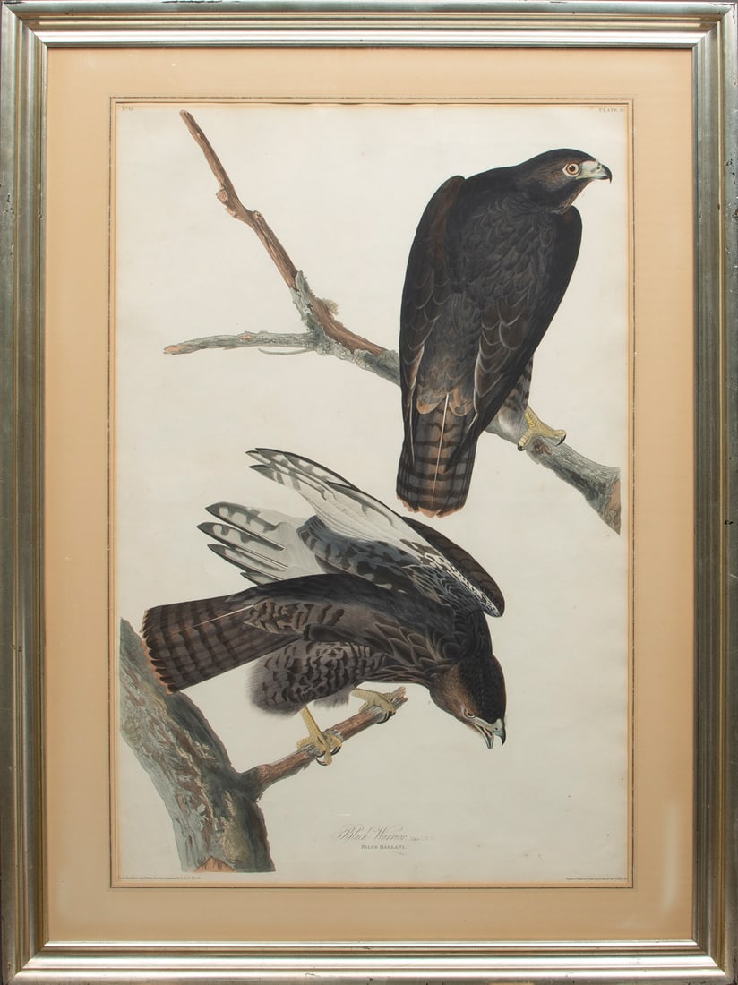 John James Audubon (American, 1785-1851) (1 of 4)