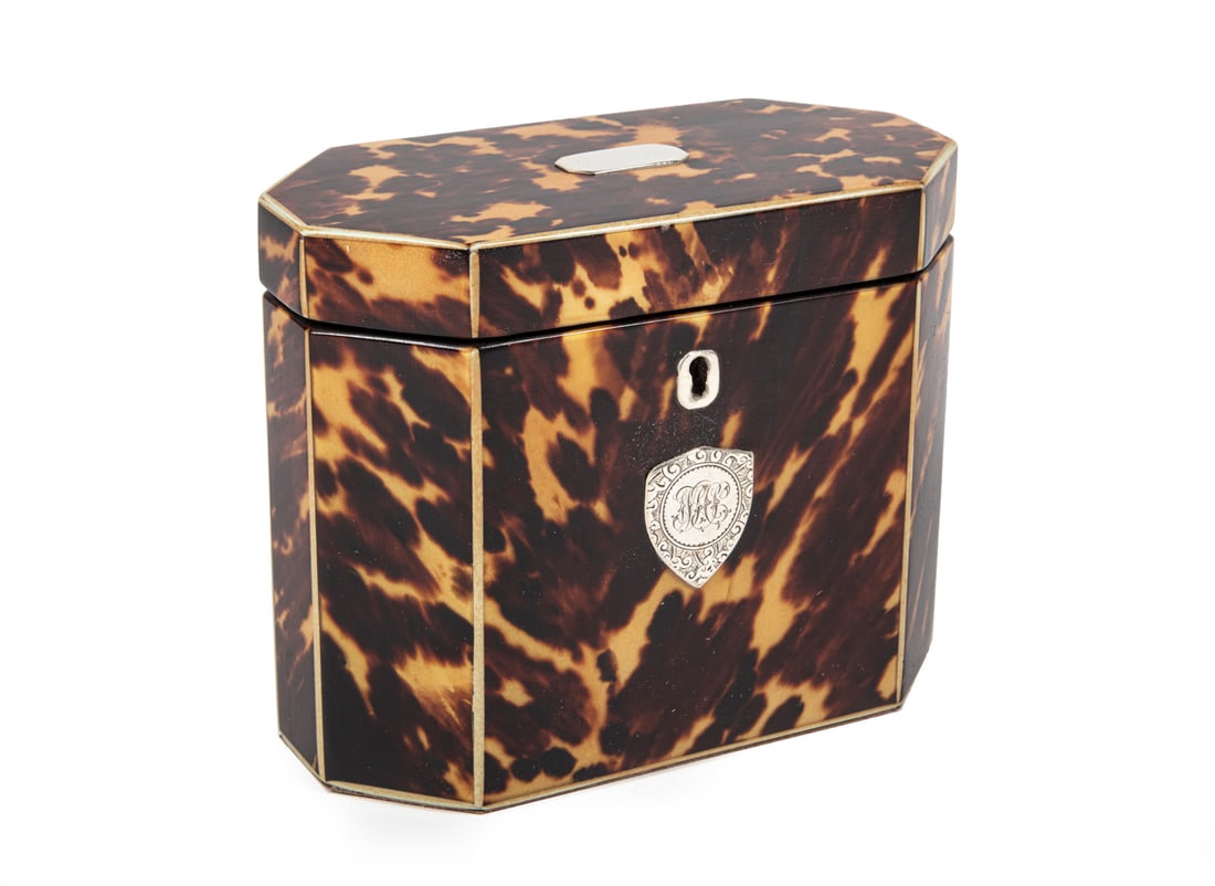 Georgian Tortoiseshell Tea Caddy (1 of 4)