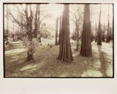 Sandra Russell Clark (American/Louisiana): Sandra Russell Clark (American/Louisiana, b. 1949), "Louisiana Dreamscapes", c. 1980s, 2 hand-colored gelatin silver prints from infrared film, each signed lower right, signed and titled en verso, fro