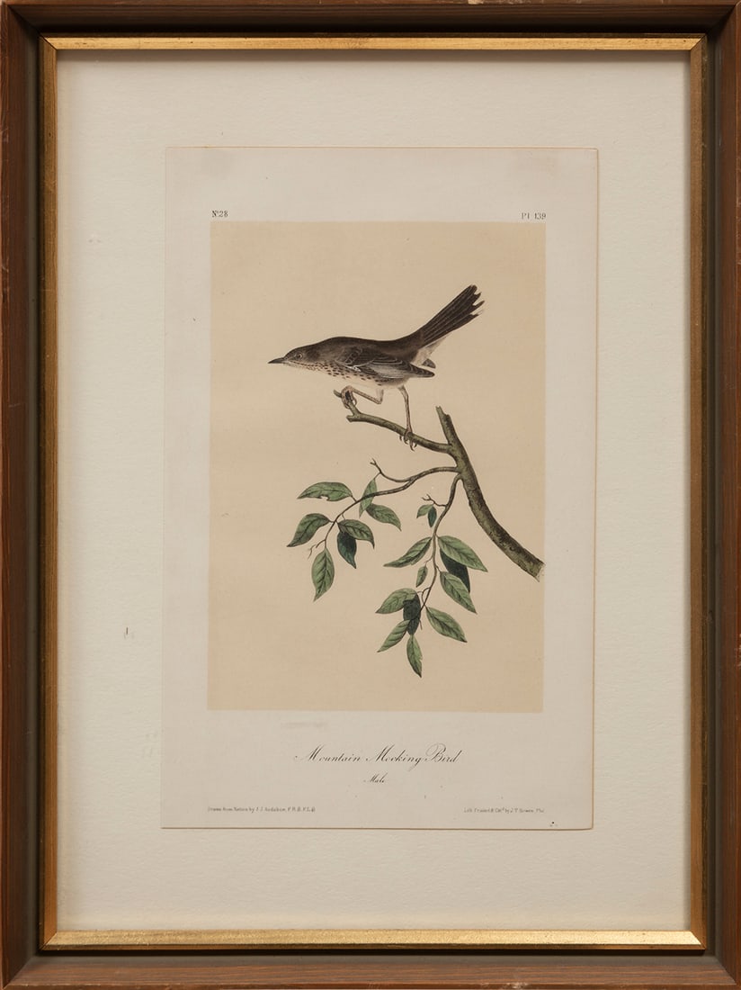 John James Audubon (American, 1785-1851) (1 of 13)