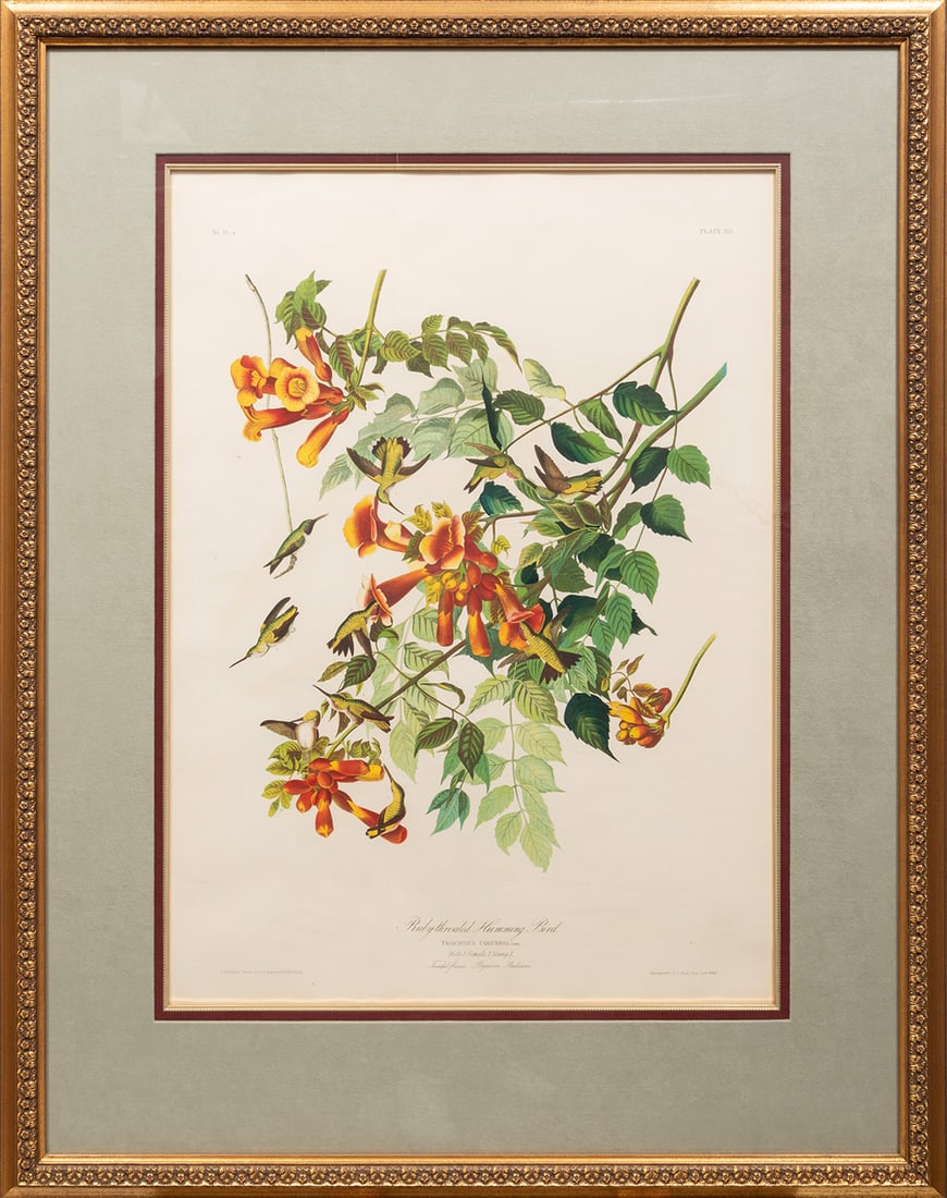 John James Audubon (American, 1785-1851) (1 of 14)