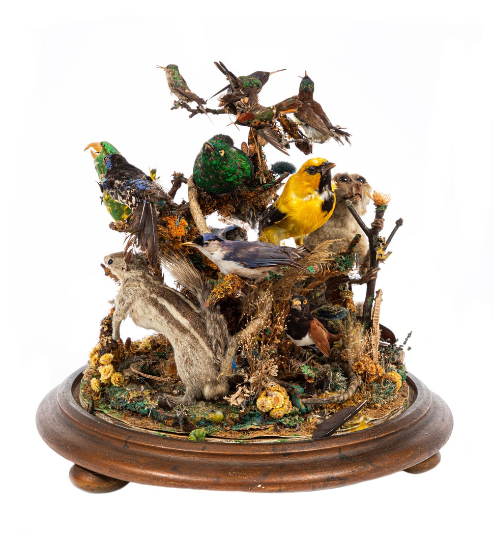 Victorian Taxidermy Group of Birds and Animials (1 of 5)