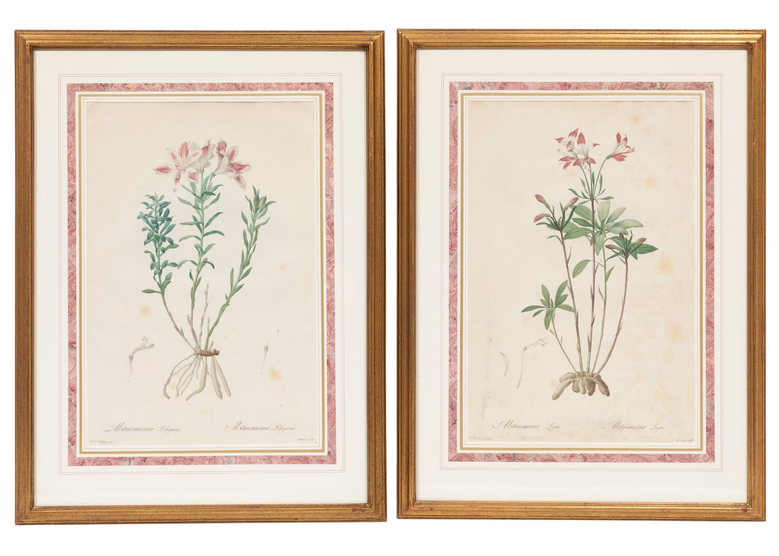 Pierre-Joseph Redouté (French, 1759-1840) (1 of 15)