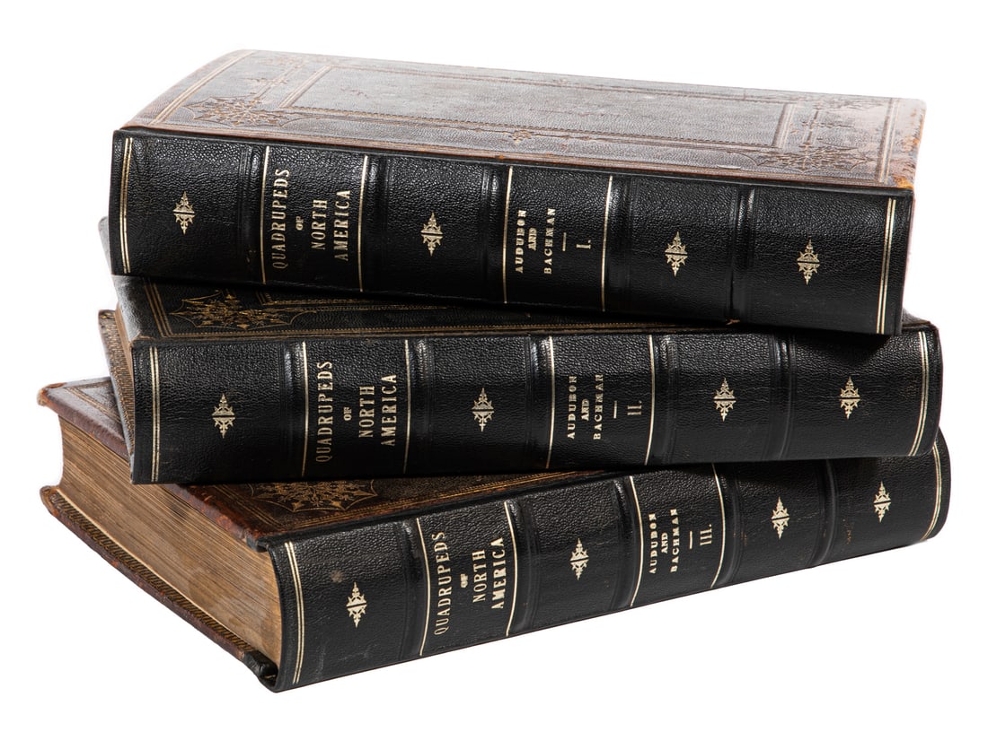 John James Audubon (American, 1785-1851) (1 of 4)