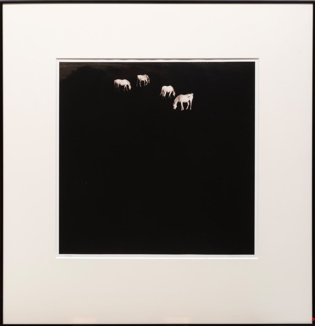 Jack Spencer (American/Mississippi, b. 1951): Jack Spencer (American/Mississippi, b. 1951), "White Horses, Panola County, Mississippi", 1997, gelatin silver print, pencil-signed lower right, numbered "18/50" lower left, pencil-signed, titled, dat