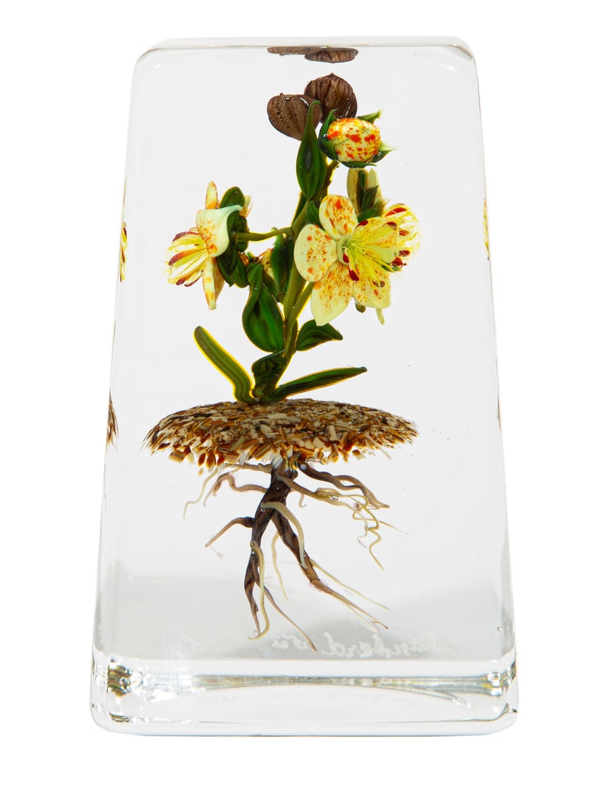Paul Stankard Glass Botanical Paperweight (1 of 6)