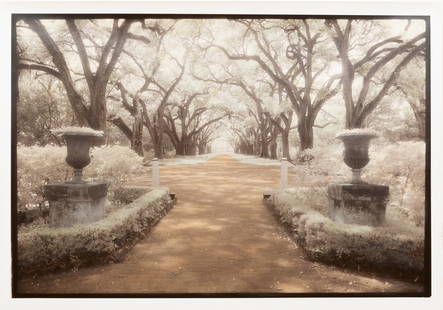 Sandra Russell Clark (American/Louisiana): Sandra Russell Clark (American/Louisiana, b. 1949), "Rosedown, La" and "Avery Island, La", 2 hand-colored gelatin silver prints from infrared film, each signed lower right, signed, titled and numbered