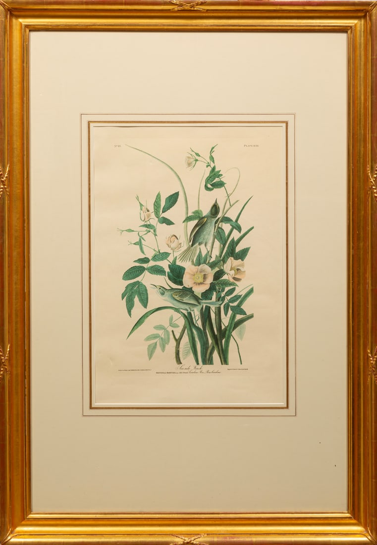 After John James Audubon (American, 1785-1851) (1 of 3)