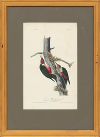 John James Audubon, American 1785-1851, "Red-headed Woodpecker", Red-cockaded Woodpecker", "Lewis' W
