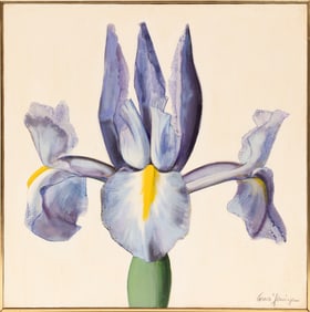 Comer Jennings, American/Georgia 1926-2016, Iris, acrylic on canvas, 30 in. x 30 in