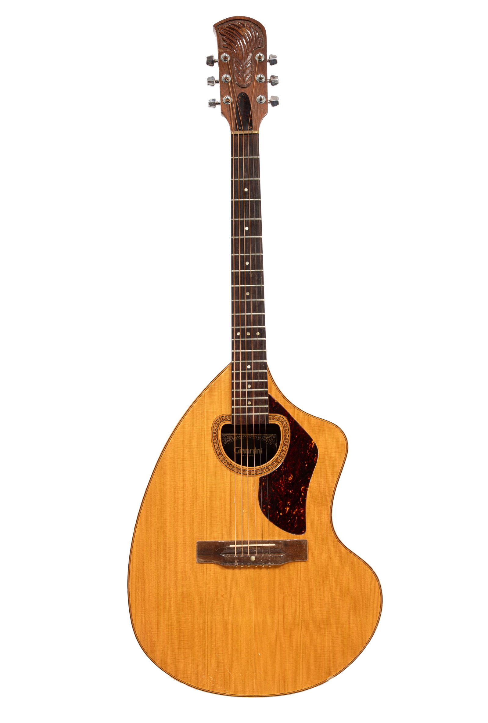 1979 Giannini Acoustic Guitar (1 of 9)