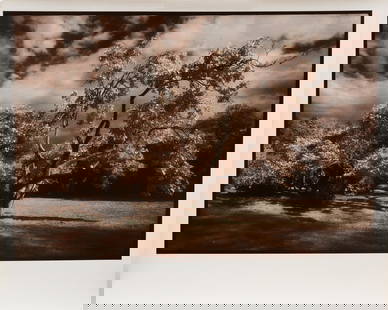 Sandra Russell Clark, American/Louisiana b. 1949, "Winterthur, Delaware", hand-colored gelatin: Sandra Russell ClarkAmerican/Louisiana, b. 1949"Winterthur, Delaware"hand-colored gelatin silver print from infrared filmsigned lower right, signed, titled and numbered "1/50" en v