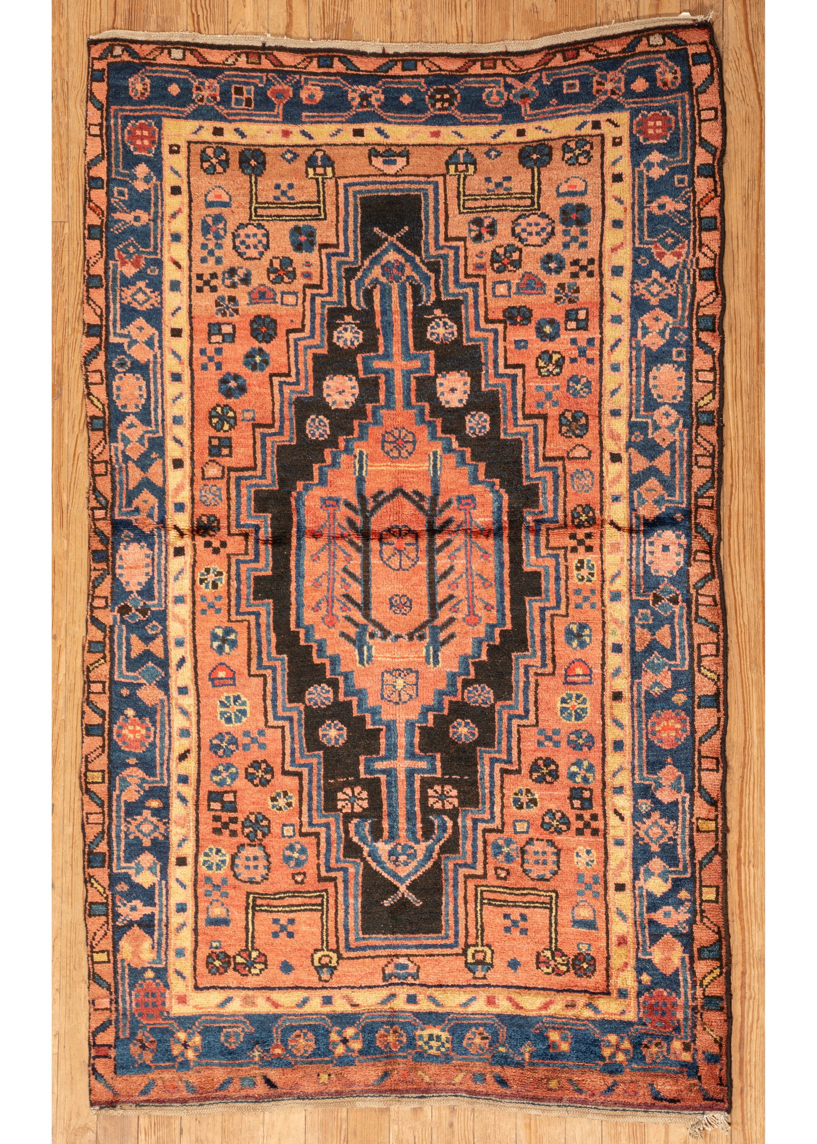 Persian Hamadan Carpet (1 of 1)