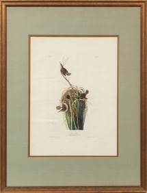 John James Audubon, American, 1785-1851, "Marsh Wren", hand-colored aquatint with engraving, Plate