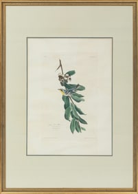John James Audubon, American, 1785-1851, "Yellow Throat Warbler", hand-colored aquatint with