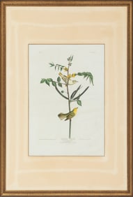 John James Audubon, American, 1785-1851, "Children's Warbler", hand-colored aquatint with engraving,