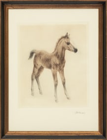 Kurt Meyer-Eberhardt, German 1895-1977, "Foal", dry-point etching, Sheet: 17 5/8 x 13 1/8 in. (44.8
