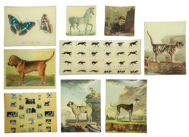Group of Nine John Derian Decoupage Glass Trays