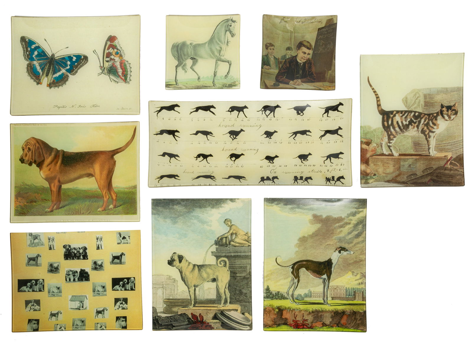 Group of Nine John Derian Decoupage Glass Trays (1 of 7)
