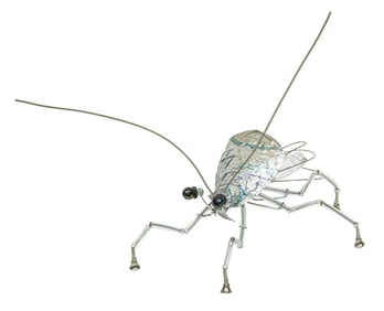 Andrew Bascle, American/Louisiana b. 1952, "Busch Roach", wire, mixed media and found objects, 14 x